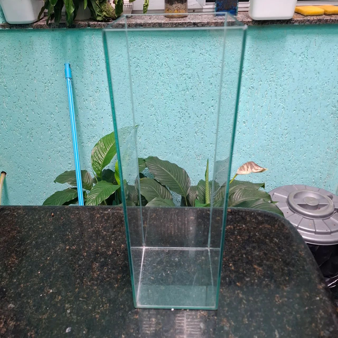 Cachepô de vidro temperado cubo