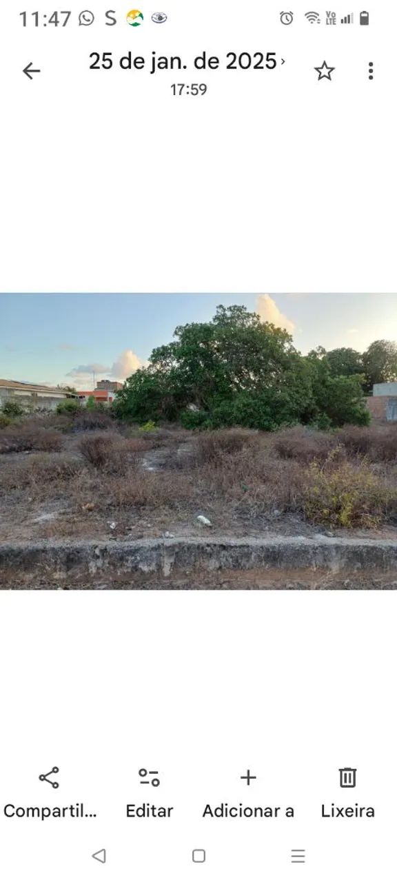 Terreno 