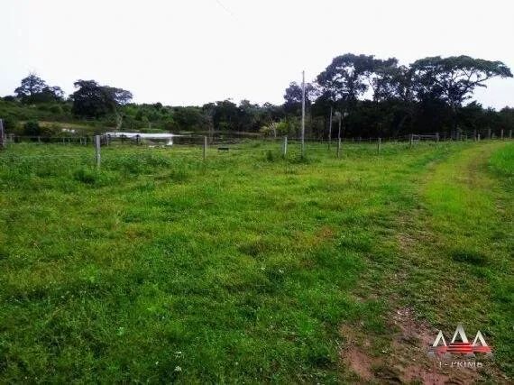 Fazenda a venda em Nova Brasilândia MT - Foto 4