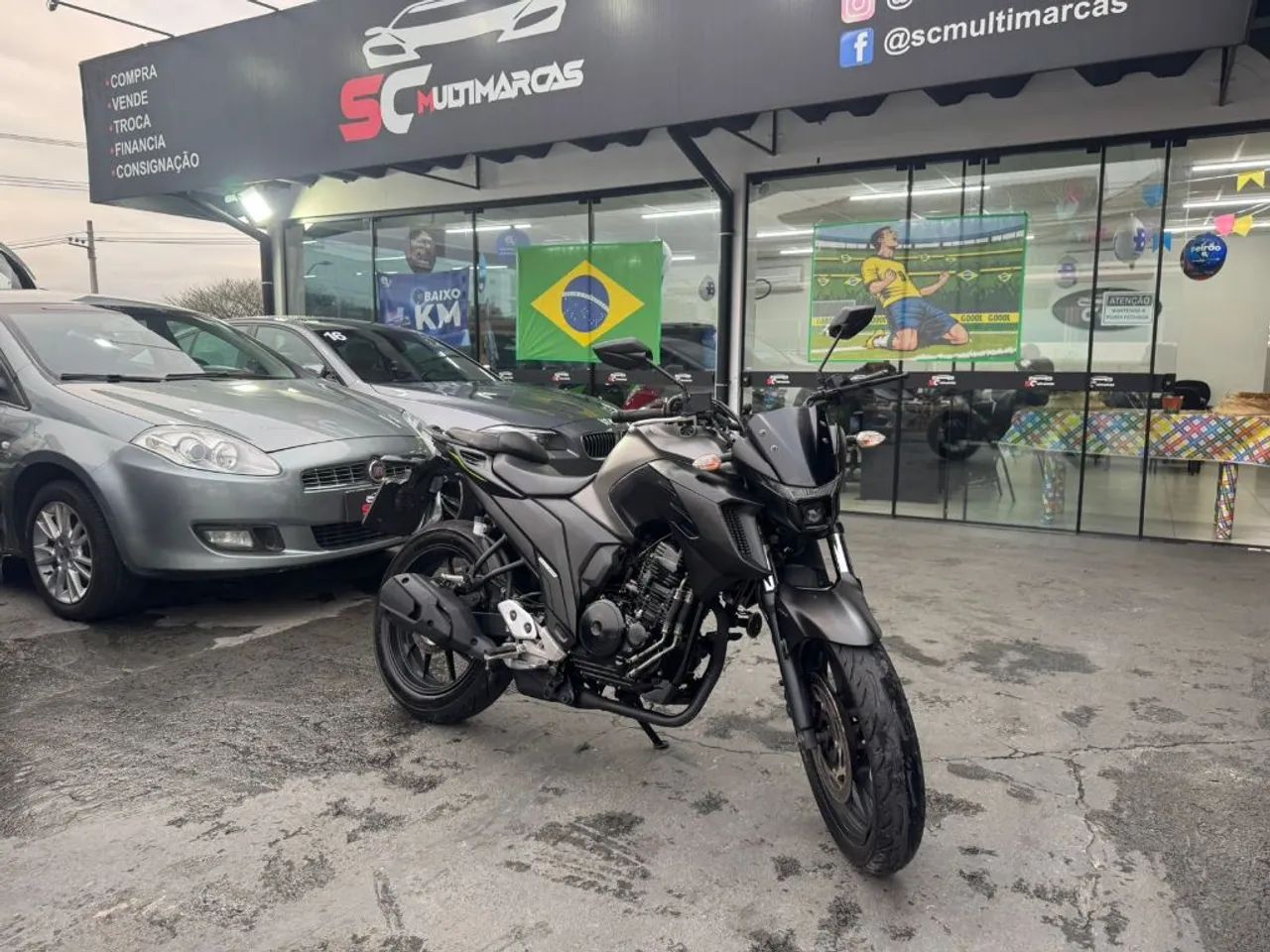 FZ25 250 FAZER FLEX