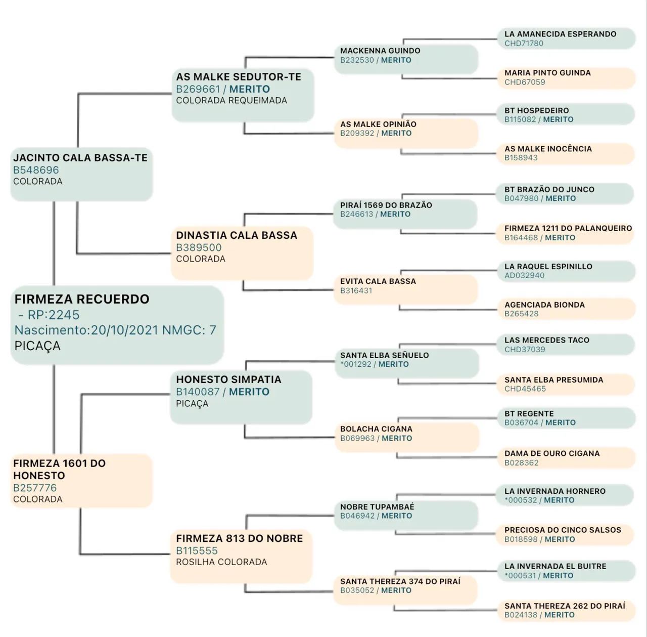 Cavalo Crioulo Picaço Garanhão Confirmado!!! - Foto 4