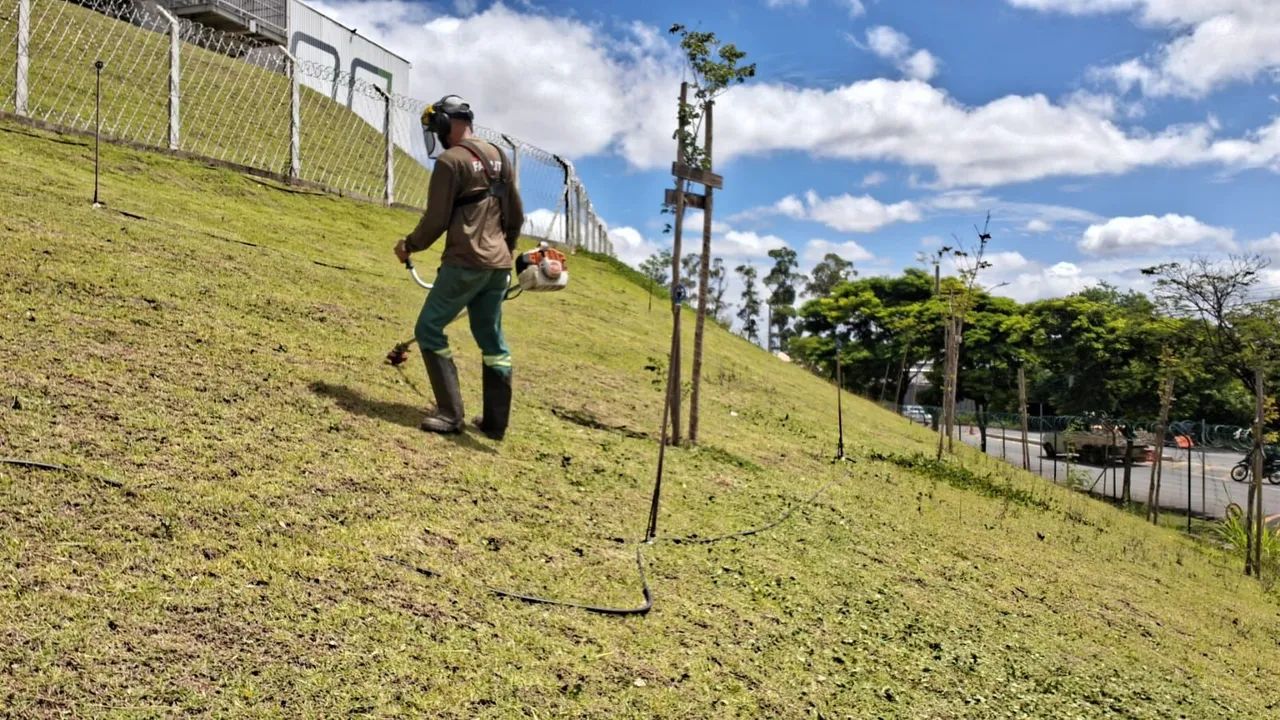 Jardineiro e paisagismo  - Foto 2
