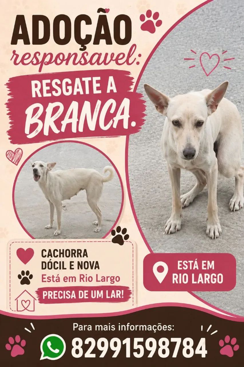 Resgate responsável (cachorra-branca)