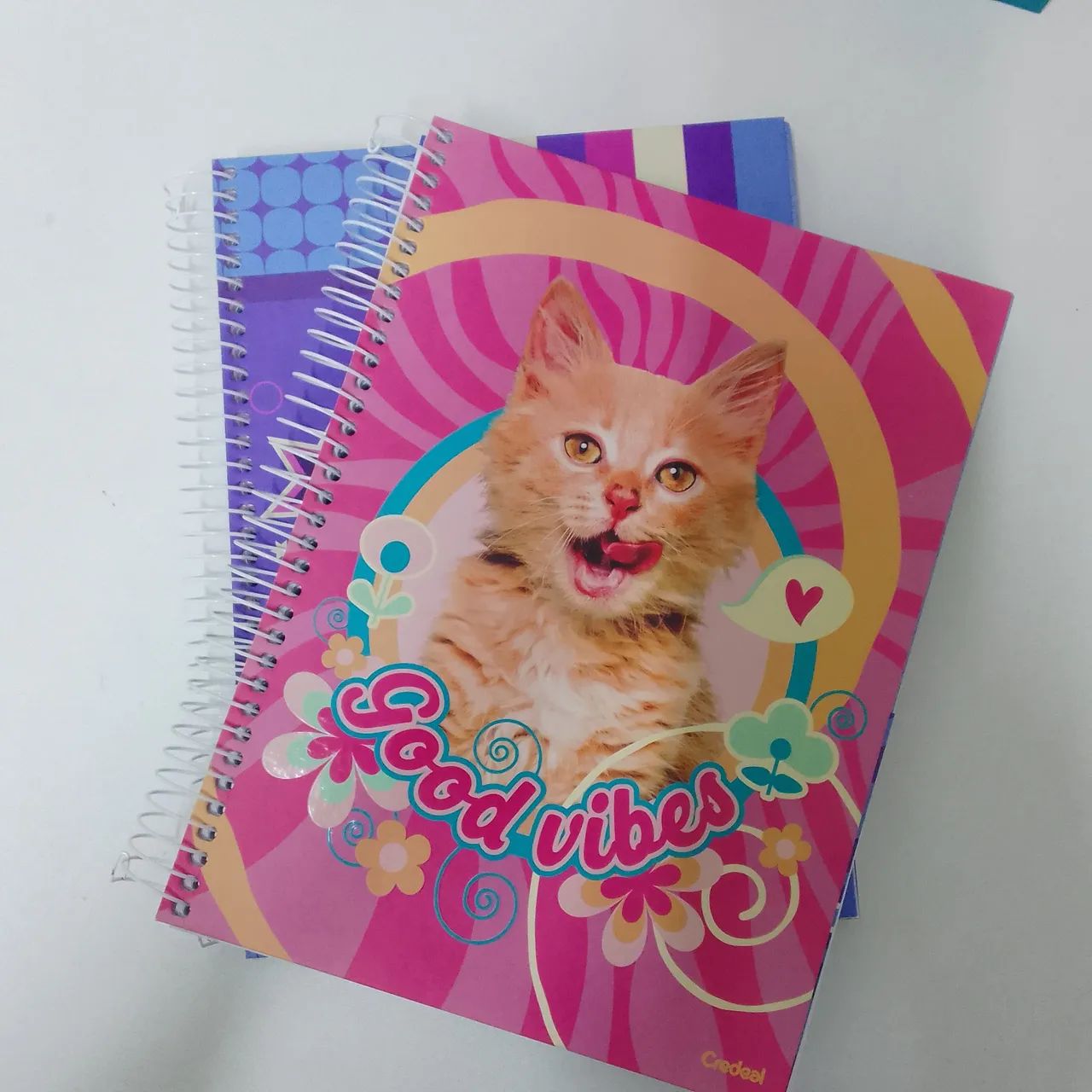 Kit 5 Caderno de 10 matérias  - Foto 3