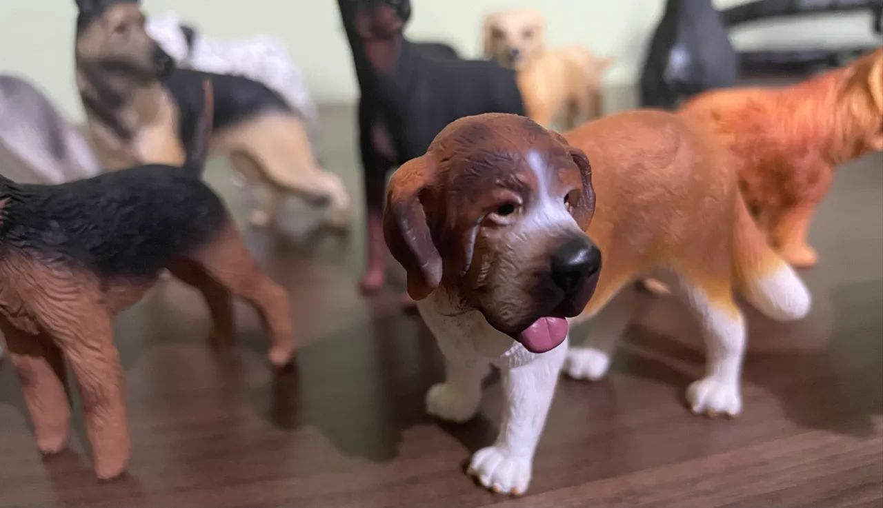 Coleção cachorros super notícia  - Foto 4