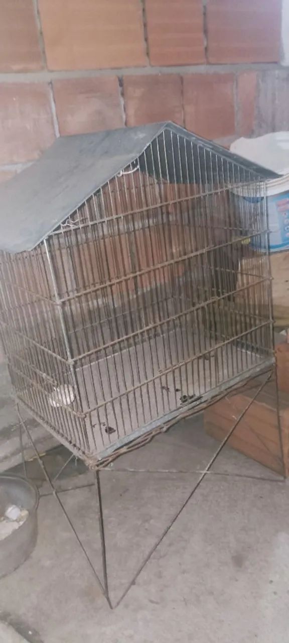Bird Aviary64993722970753120