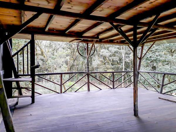 Chácara à venda em Picassinho, Piên cod:136674 - Foto 7