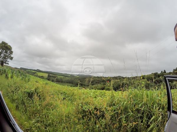 Chácara à venda em Picassinho, Piên cod:136674 - Foto 14