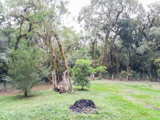 Chácara à venda em Picassinho, Piên cod:136674 - Foto 16