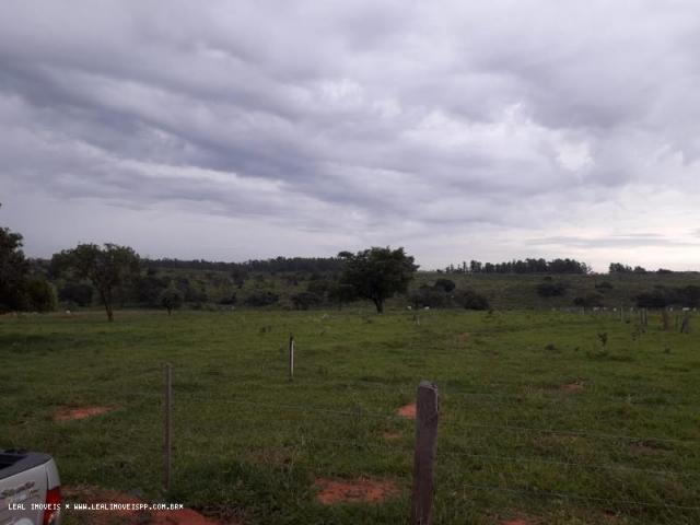Chácara para venda em martinópolis, km 5 - Foto 8