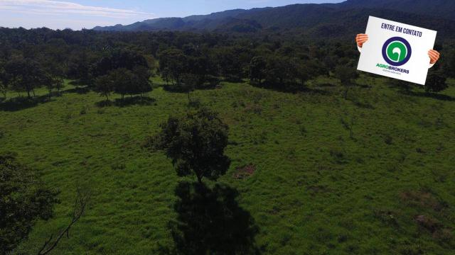 Fazenda região de rosário oeste - Foto 18