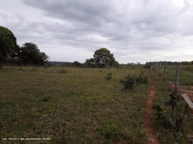 Chácara para venda em martinópolis, km 5 - Foto 7