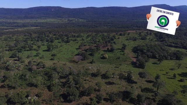 Fazenda região de rosário oeste - Foto 19