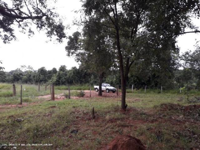 Chácara para venda em martinópolis, km 5 - Foto 16