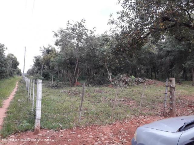 Chácara para venda em martinópolis, km 5 - Foto 6
