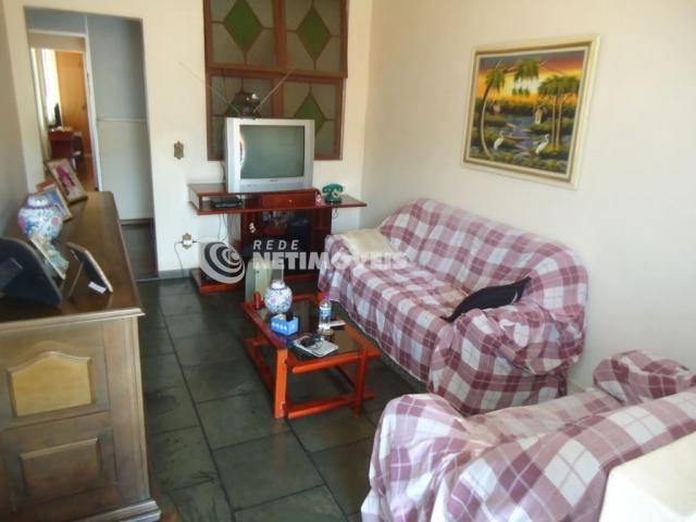 Casa à venda com 5 dormitórios em Caiçara-adelaide, Belo horizonte cod:543324 - Foto 17