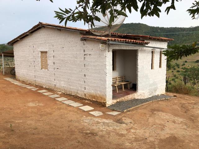 Fazenda na estrada do feijão - Foto 7