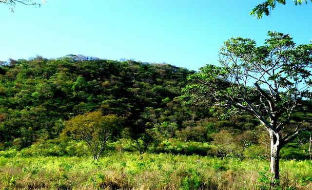 Chácara - Foto 14
