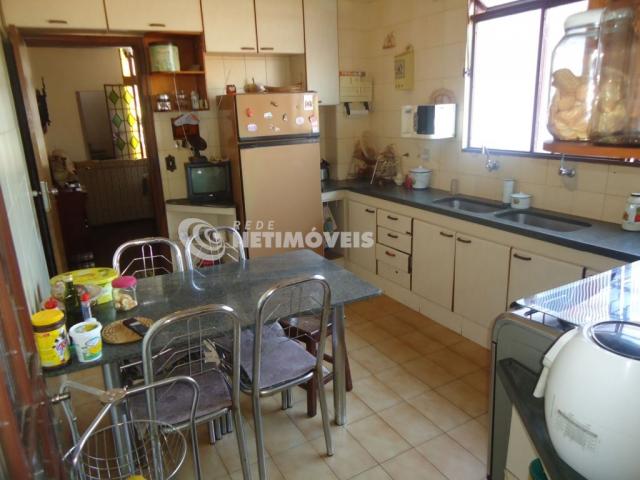Casa à venda com 5 dormitórios em Caiçara-adelaide, Belo horizonte cod:543324 - Foto 8