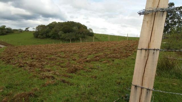 Área especial para sitio ou hortifrutigranjeiros com 12.5 HA - Foto 4