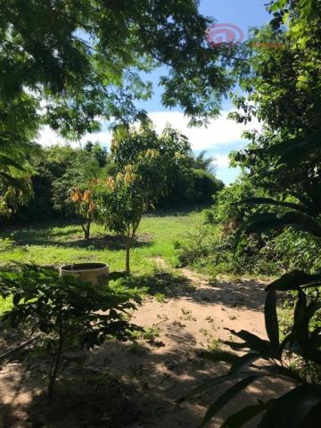 Chácara à venda, 38 m² por R$ 1.100.000 - Iguaíba - Paço do Lumiar/Maranhão - Foto 3
