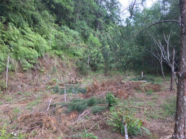 Terreno Pirabeiraba centro 1400 m² - Foto 3