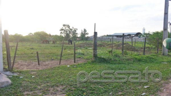 Terreno residencial à venda, novo mundo, gravataí - . - Foto 2