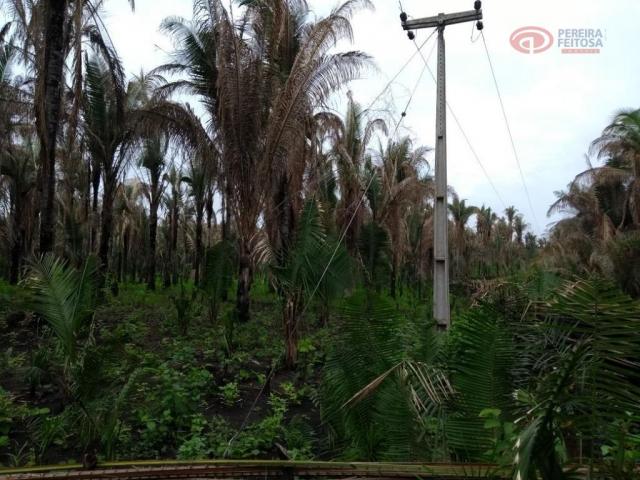 Área rural à venda, maranhão novo, são luís. - Foto 9