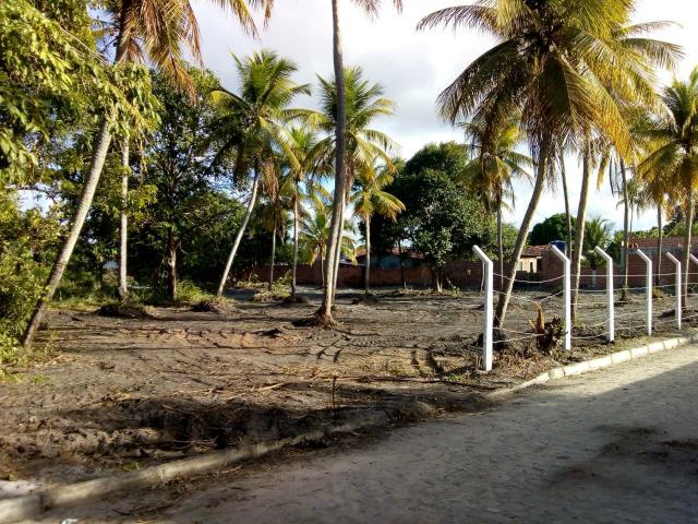 Terrenos - Foto 4