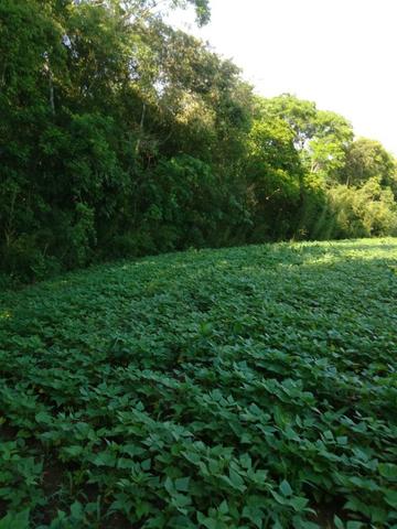 Vende ou Trocar a Chácara Região de Ivaí - Foto 16