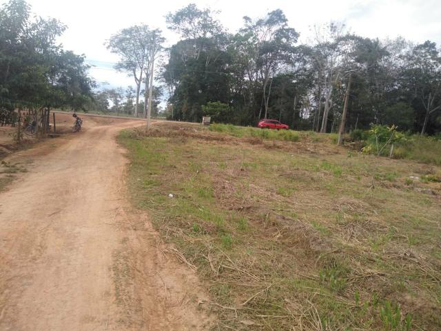 Terreno 37.5 x 25 metragem - Foto 2