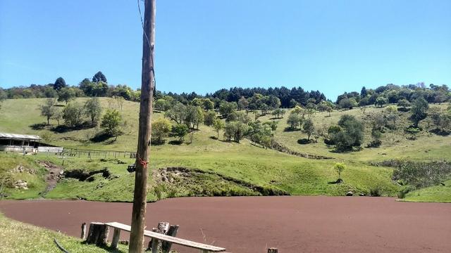 Para Criação de ovelhas - Foto 5