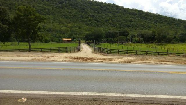 Fazenda formada, 200 hectares 100% asfaltoa Cuiabá, na BR - Foto 9