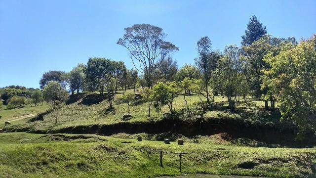 Para Criação de ovelhas - Foto 13