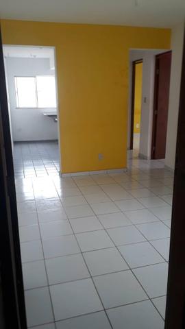 Vendo ou alugo gaivotas turu - Foto 4