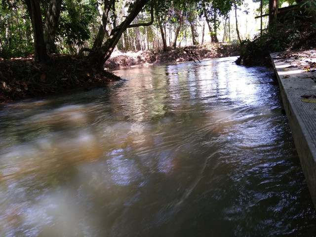 Terreno com igarapé - Foto 8