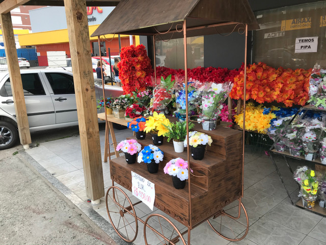 Carrinho de Flores - Foto 6