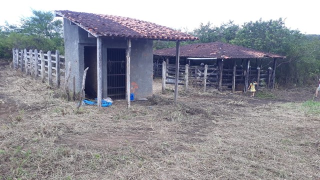 Fazenda/Sítio/Chácara para venda 30 ta = 130.680 m2  na zona rural - Rio Real - BA