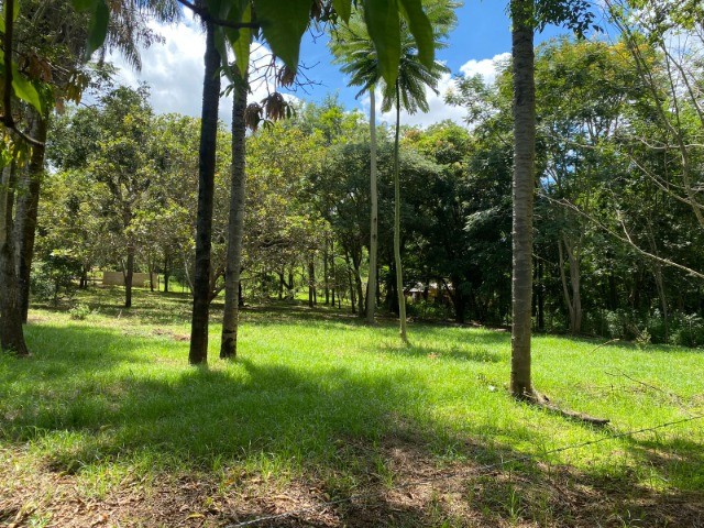  Fazendinha de 4 hectares, as margens do Rio das Velhas,casa, espaço gourmet e muito mais. - Foto 5