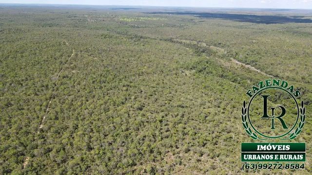 Fazenda  125 Alqueires Bruta Tocantins Dupla Aptidão - Foto 4