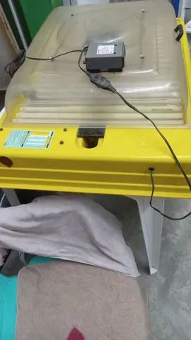 Chocadeira  - Foto 6