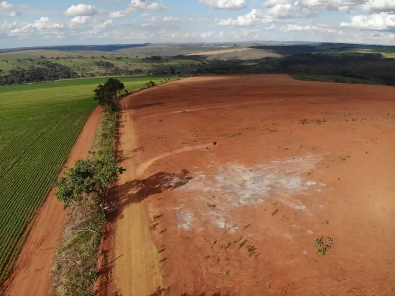 FAZENDA DE 100HEC COM 950M DE ALTITUDE, PRODUZA GRAOS NOBRES!! - Foto 3