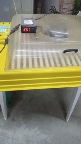 Chocadeira  - Foto 2