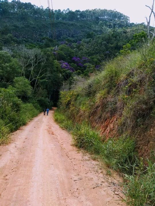 Terreno, Petrópolis,5 distrito; - Foto 5
