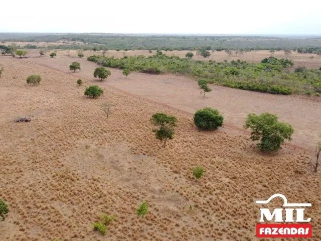 Fazenda em Duerê-TO. 400 Alq. (1.936 Há). p/ Soja e Gado - Foto 5