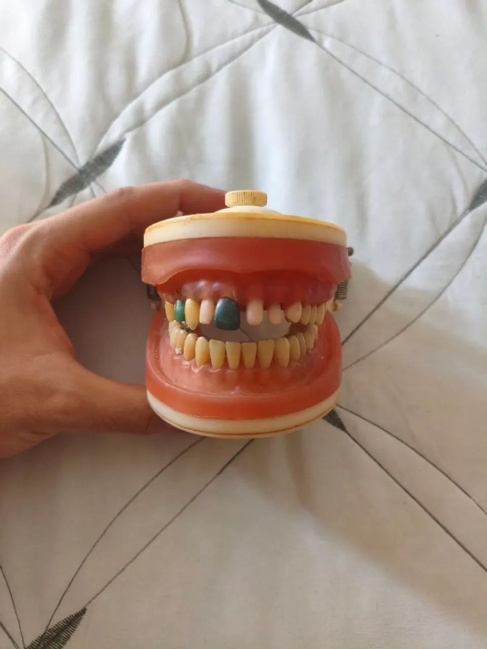 Manequim odontologico - Prodens - Foto 2