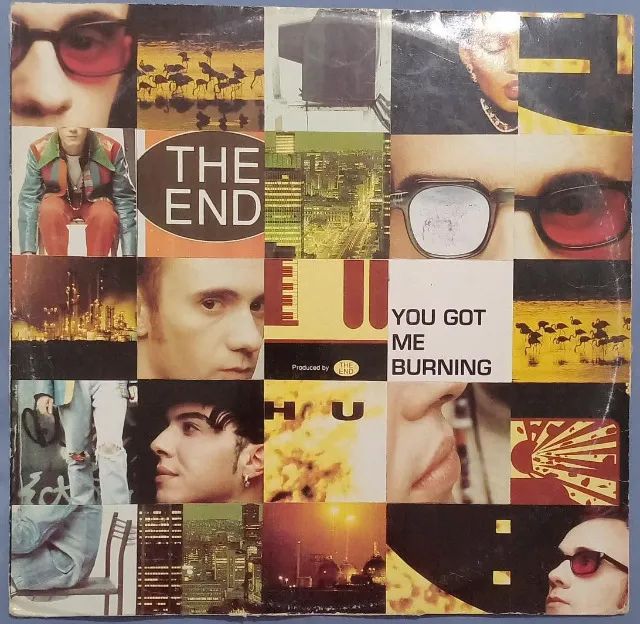 Disco de Vinil LP The End You Got Me Burning (importado)