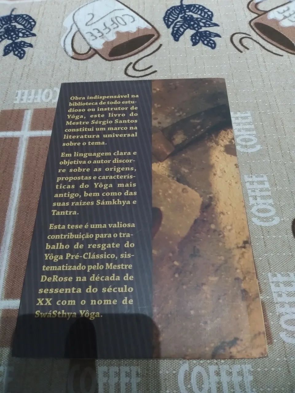 Yoga, Sámkhya e Tantra - Sérgio Santos - Foto 2