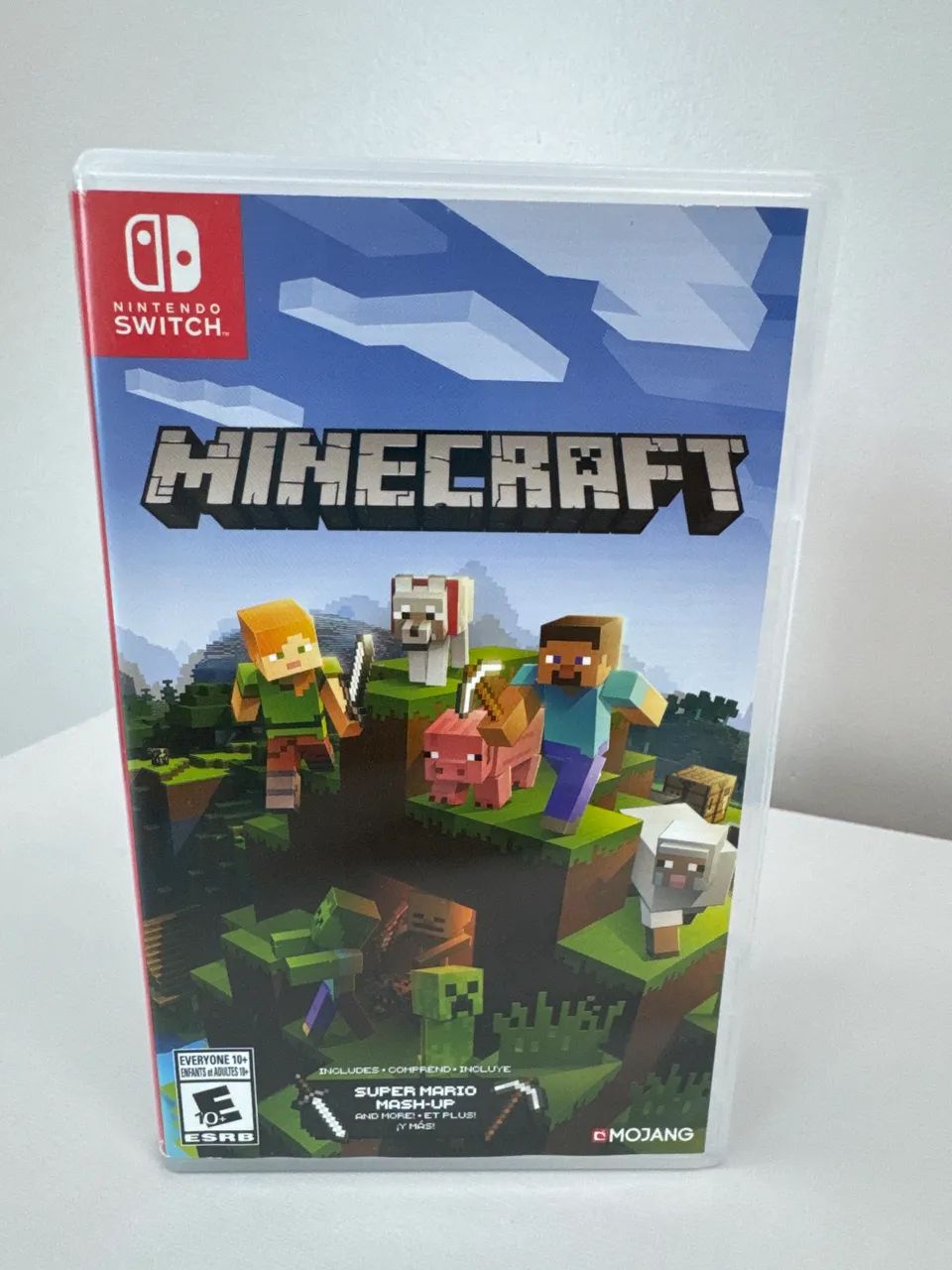 Minecraft Nintendo switch