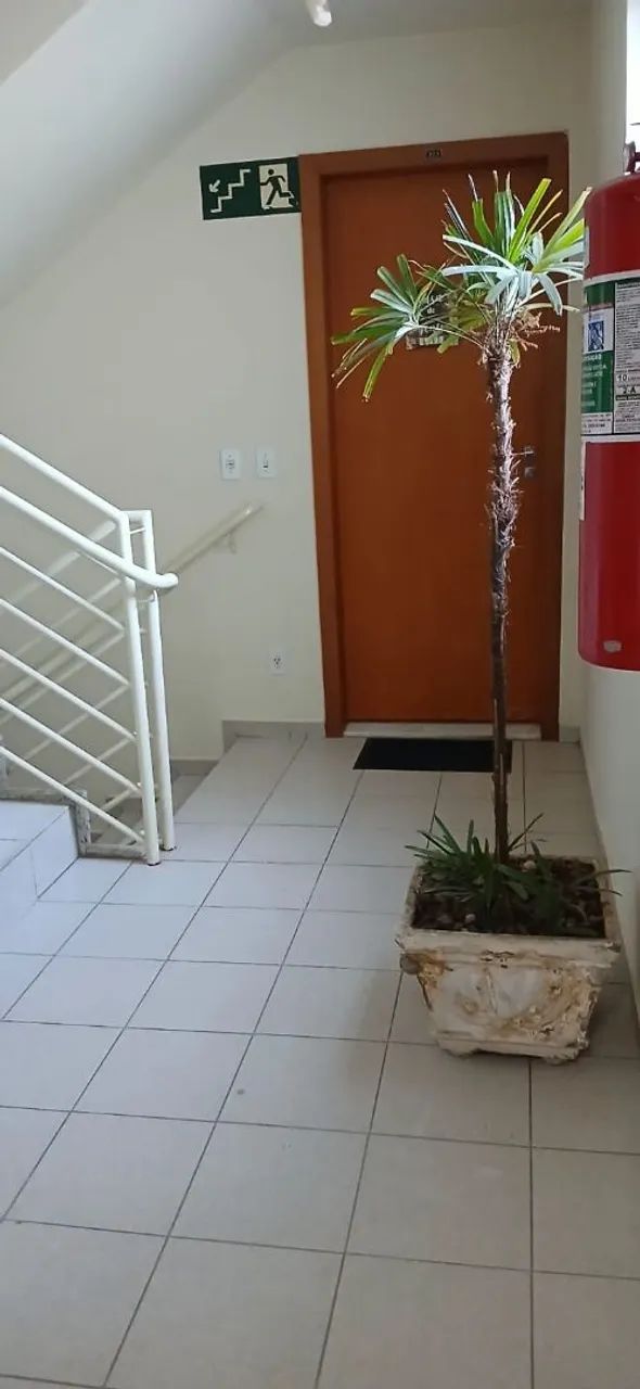 Foto - Belo Horizonte - Boa Vista